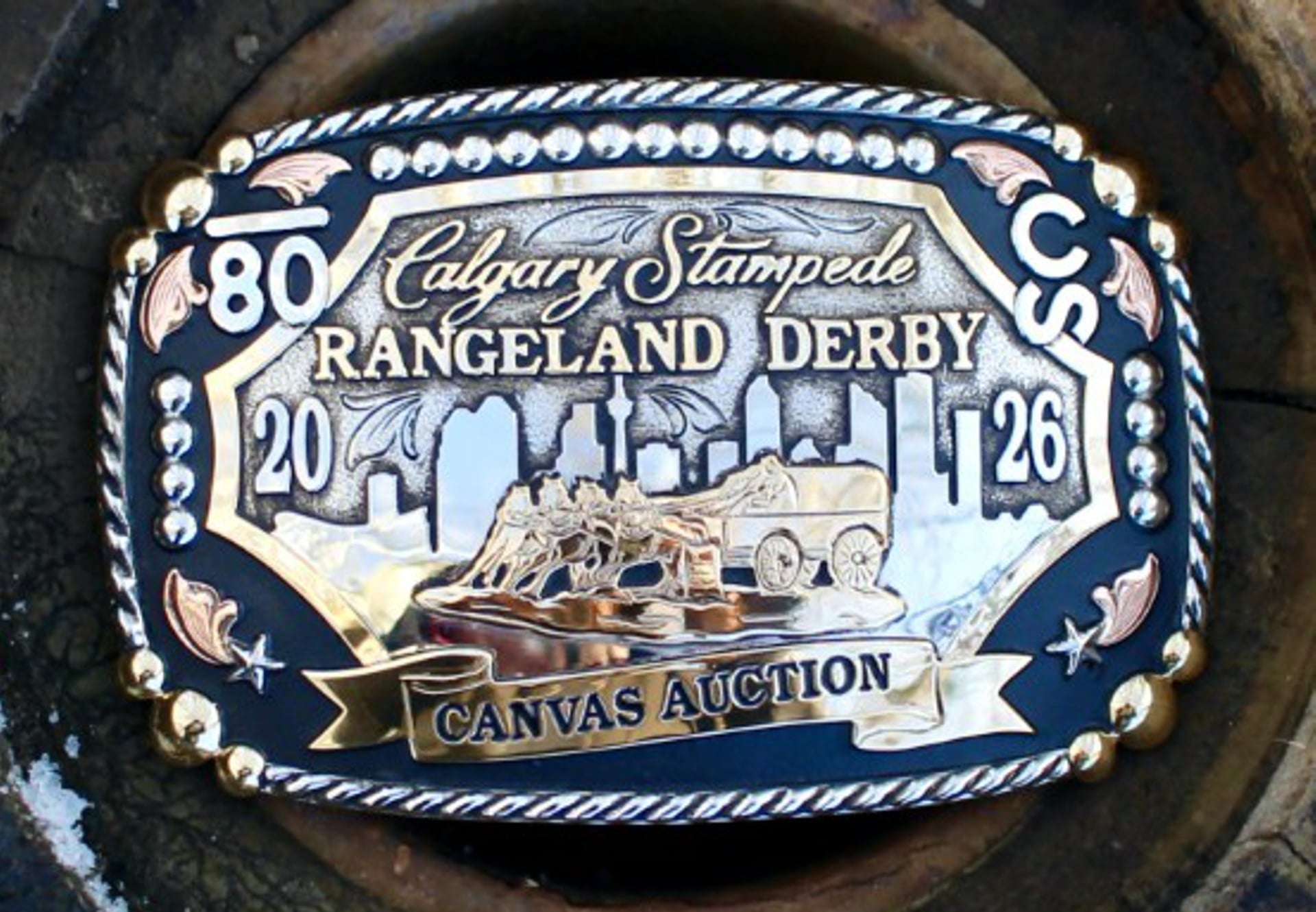 Canvas Auction 2026 Website